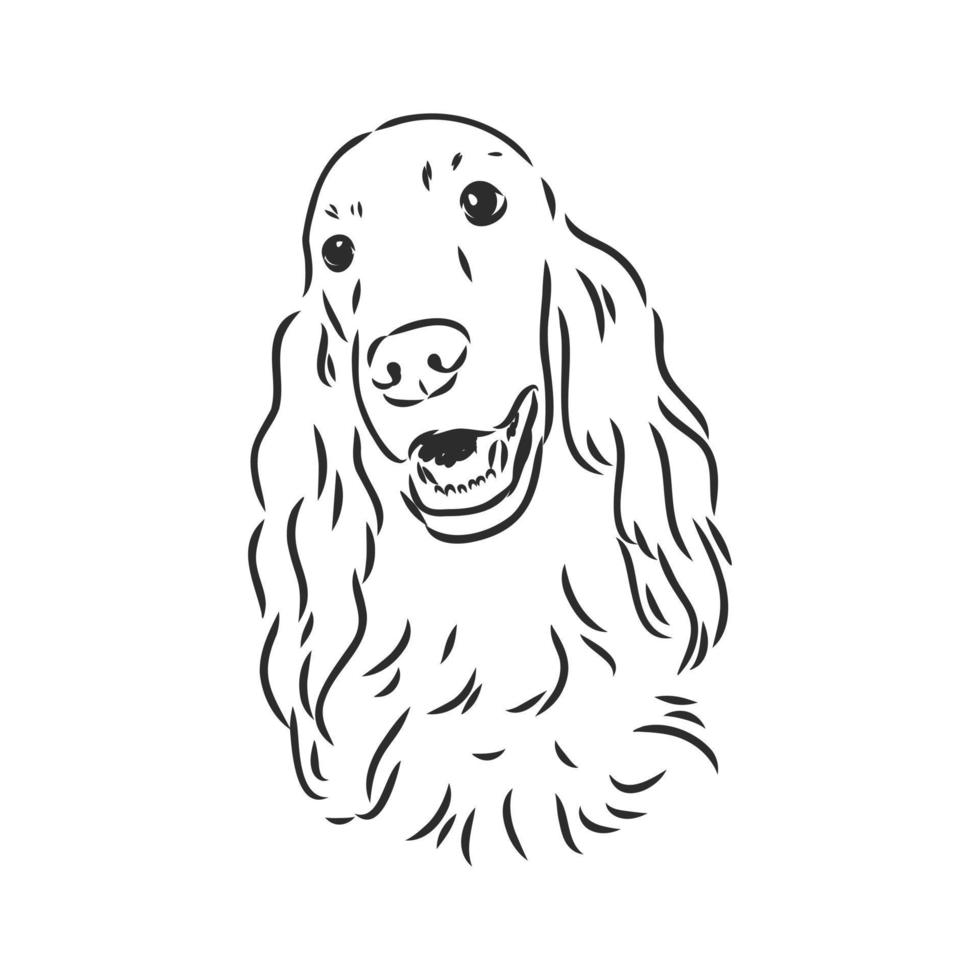 dog vector sketch