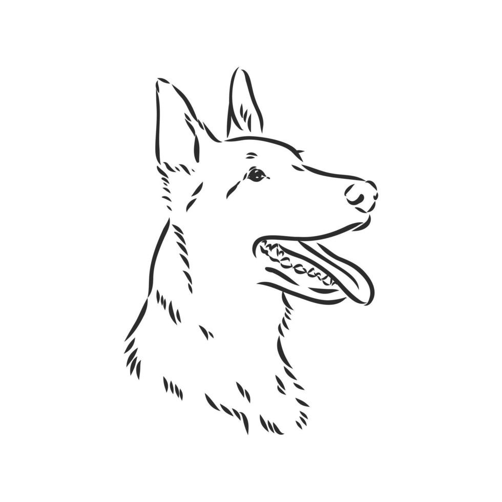 dog vector sketch