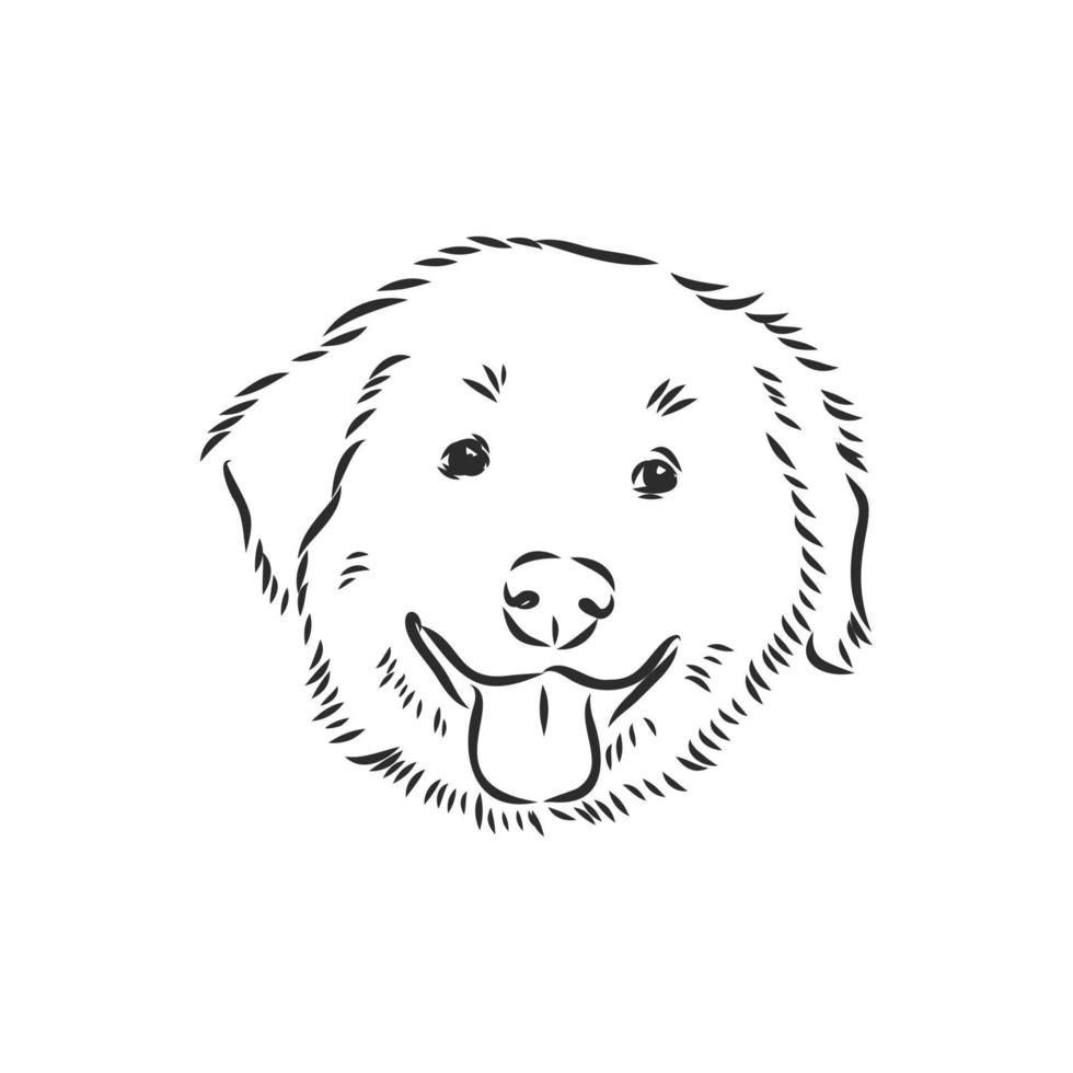 dog vector sketch