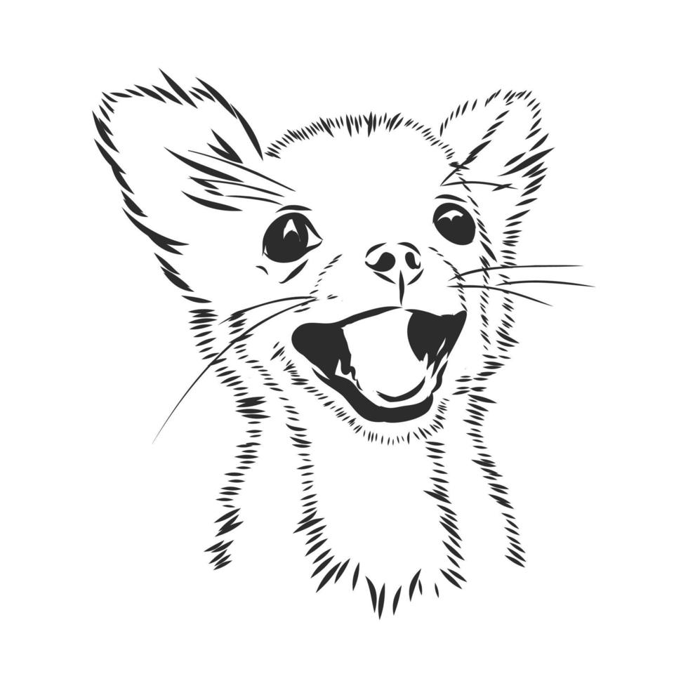 dog vector sketch