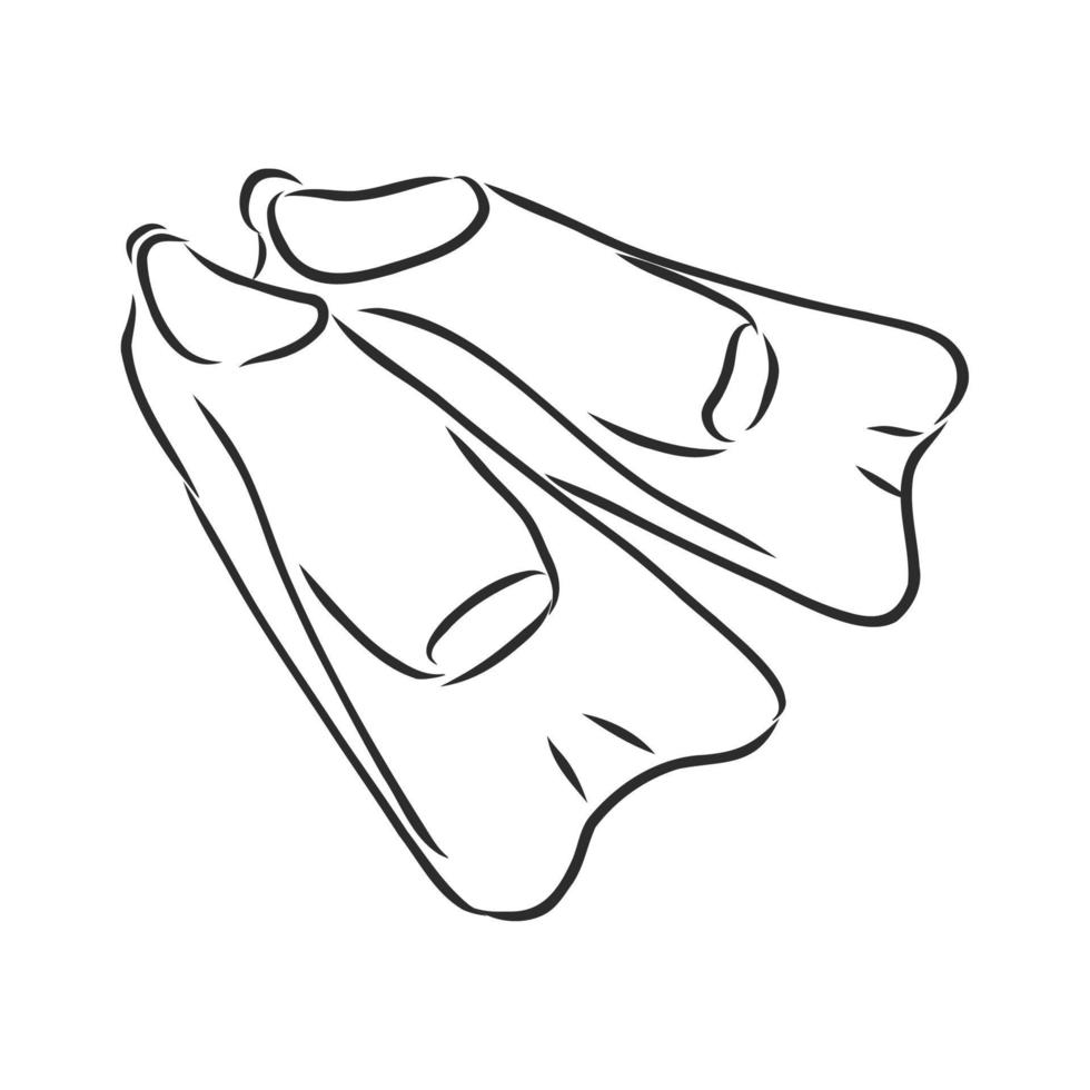 fins for swimming vector sketch