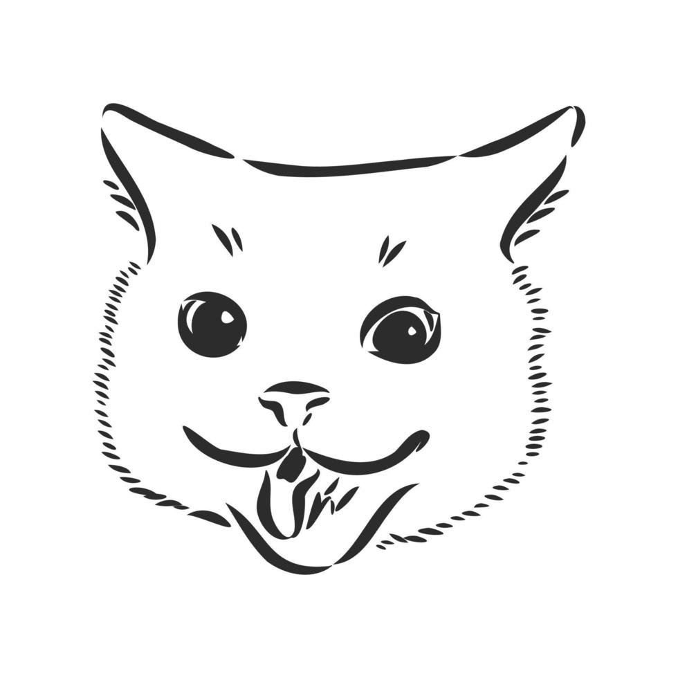 cat vector sketch