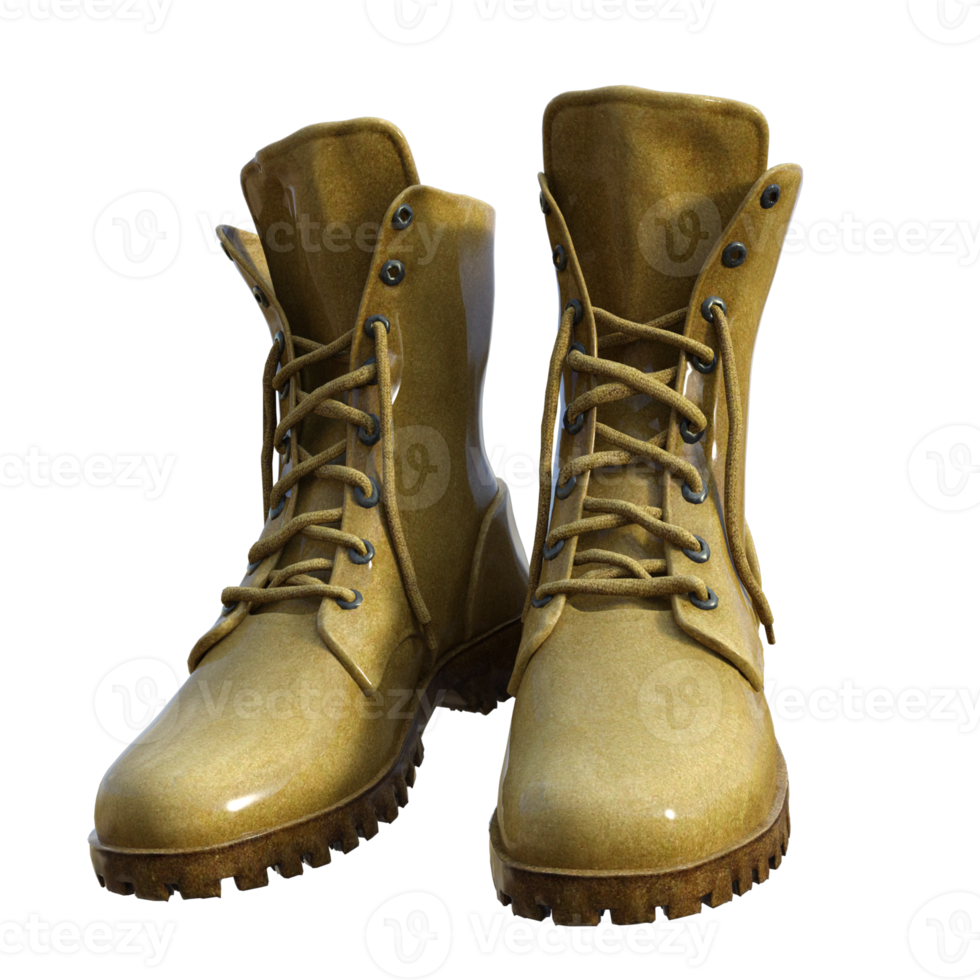 Stiefel isoliert 3D-Rendering png