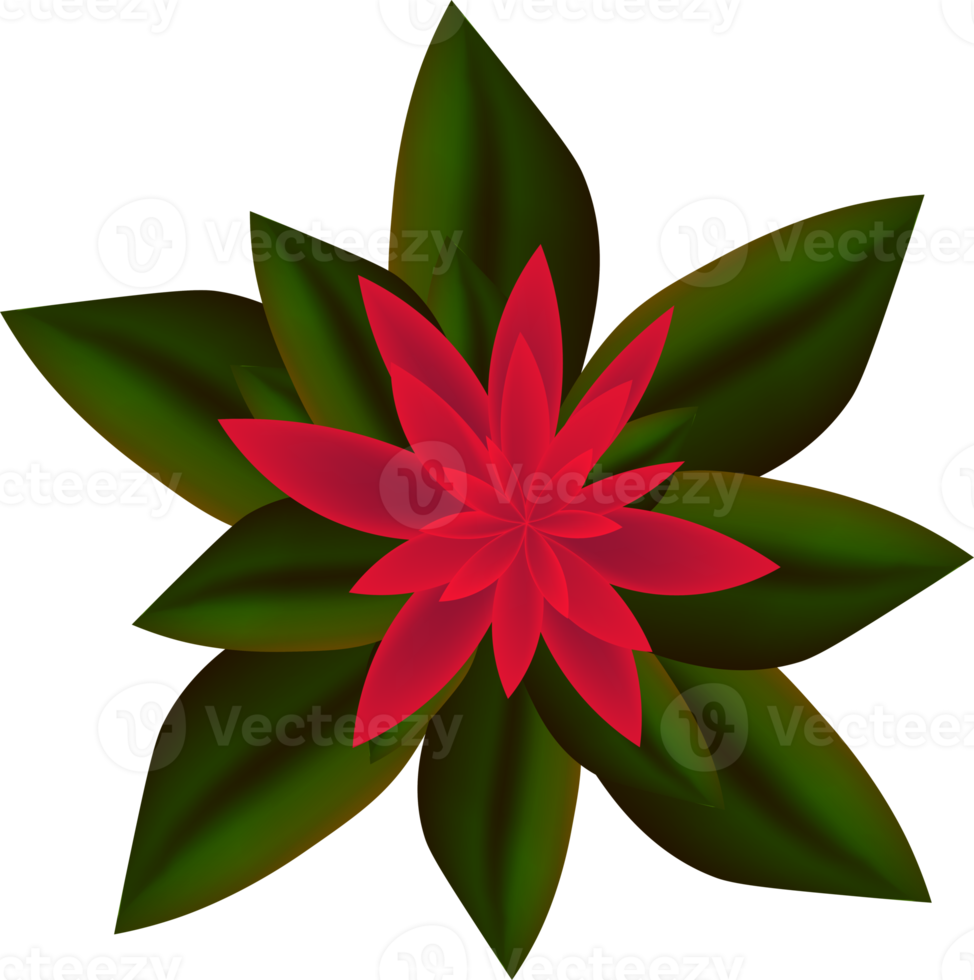 shrub. Top view of bushes png