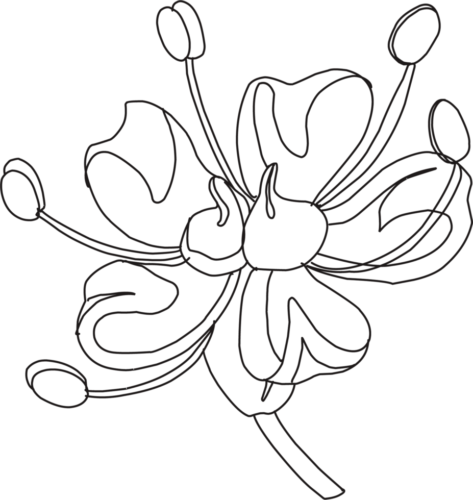 bloem lineair illustratie. takje silhouet. fabriek kleur element. bloemen element geïsoleerd png