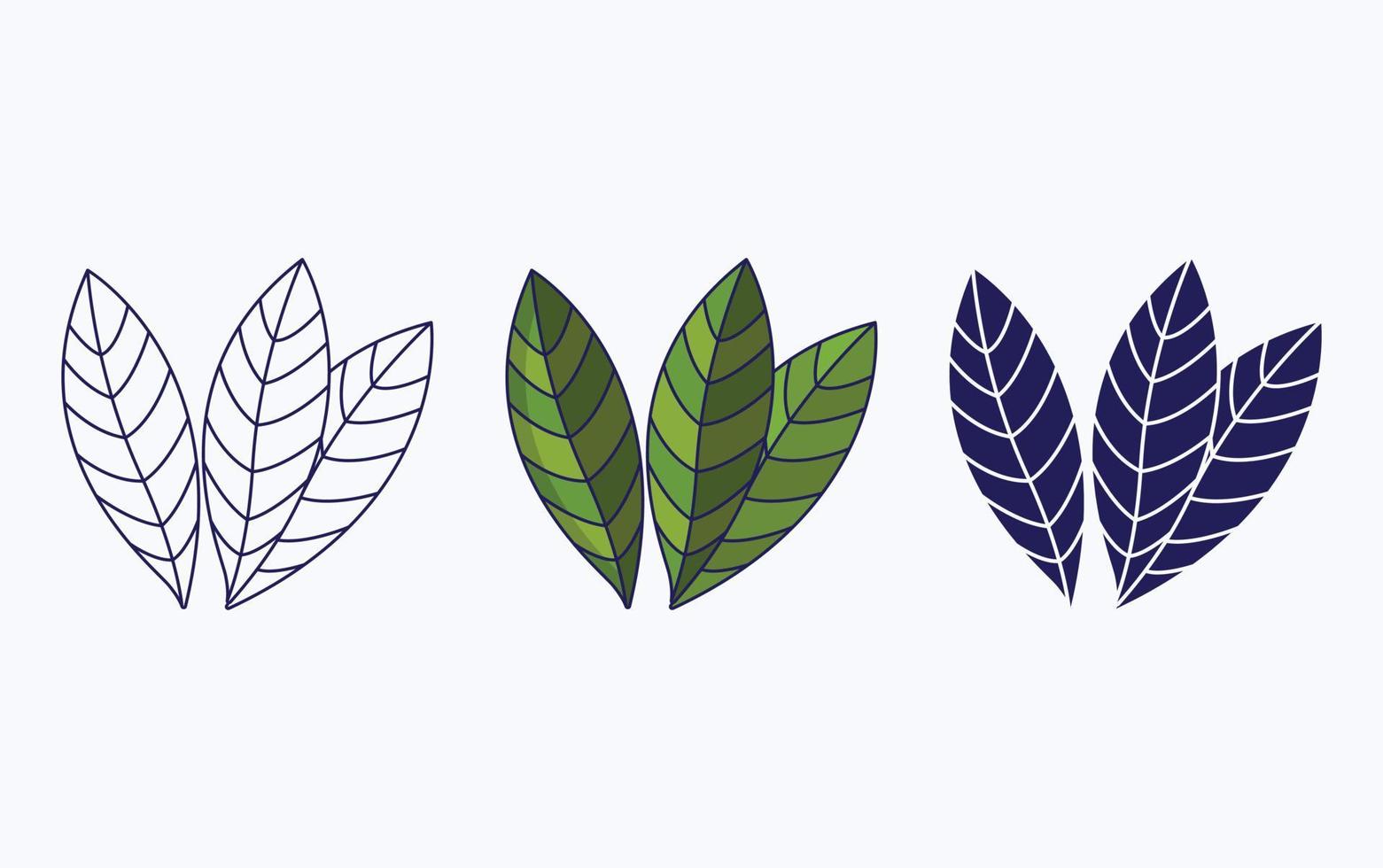 Bay Leaf vector