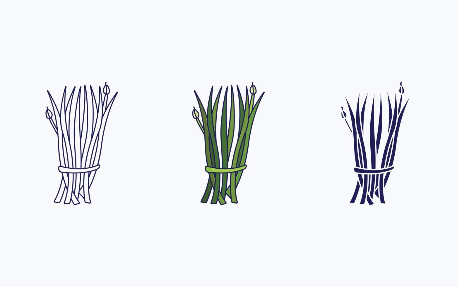 Chives garlic icon vector