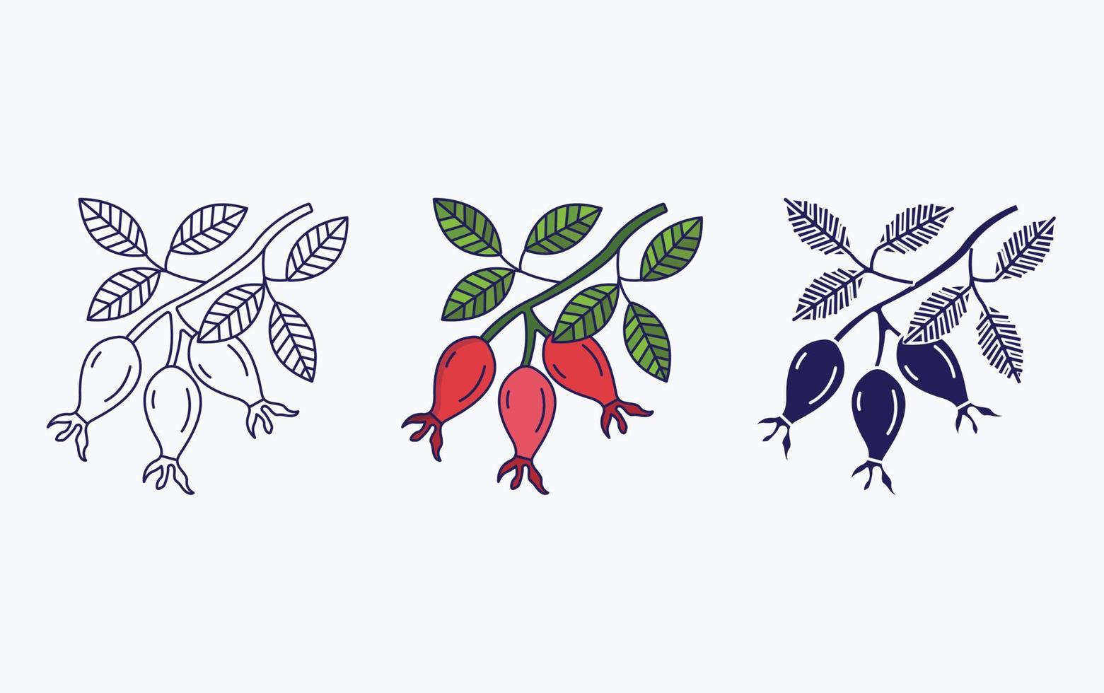 Rose Hip icon vector