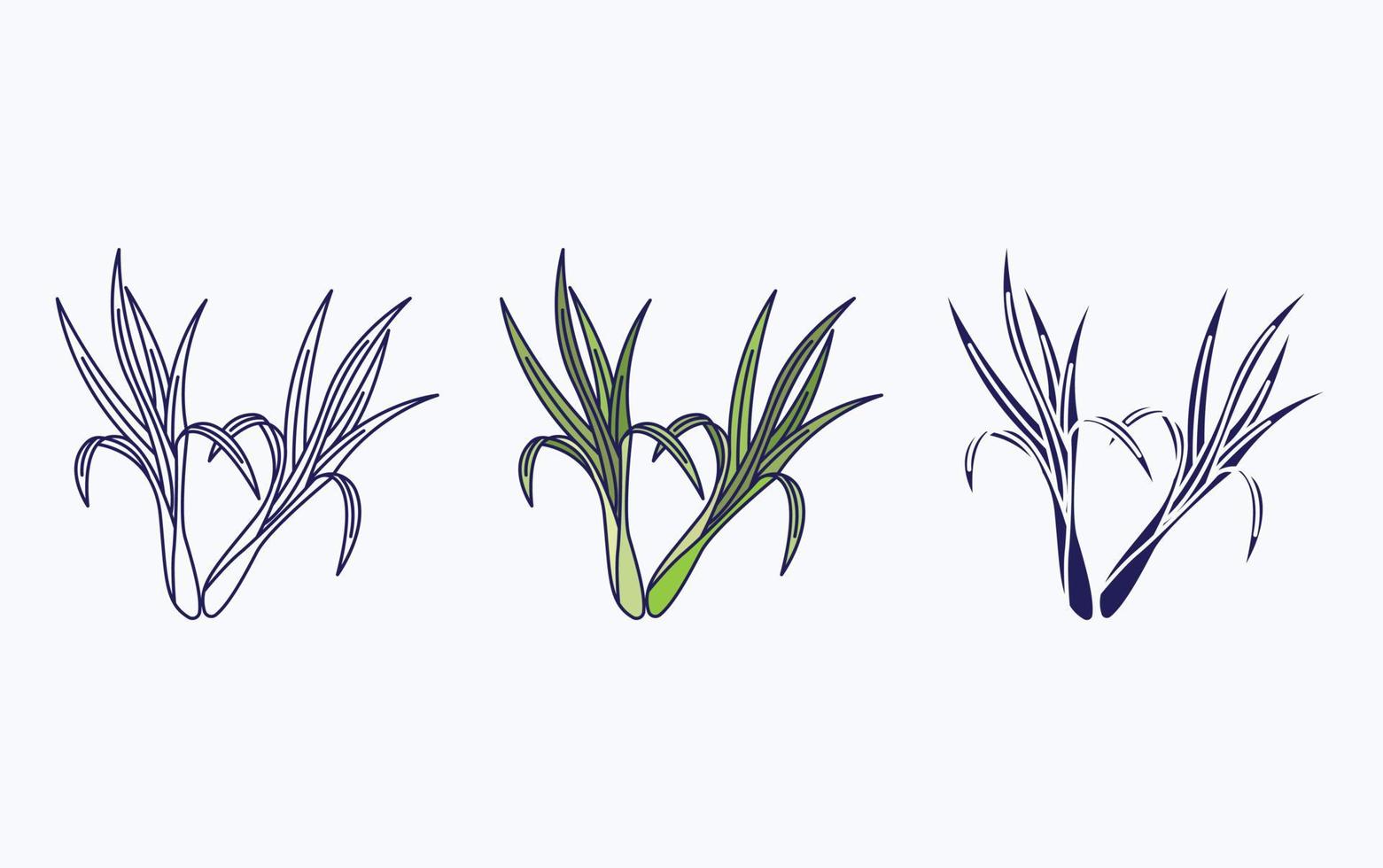 Lemon grass icon vector