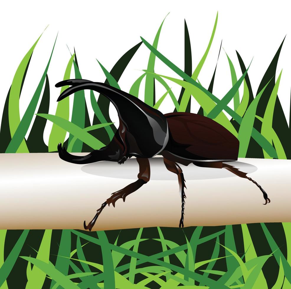ilustración vectorial escarabajo rinoceronte, escarabajo hércules, escarabajo unicornio vector