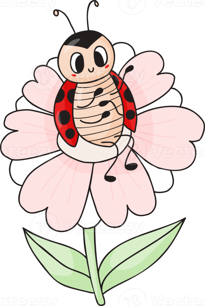 Cute ladybug  on flower png