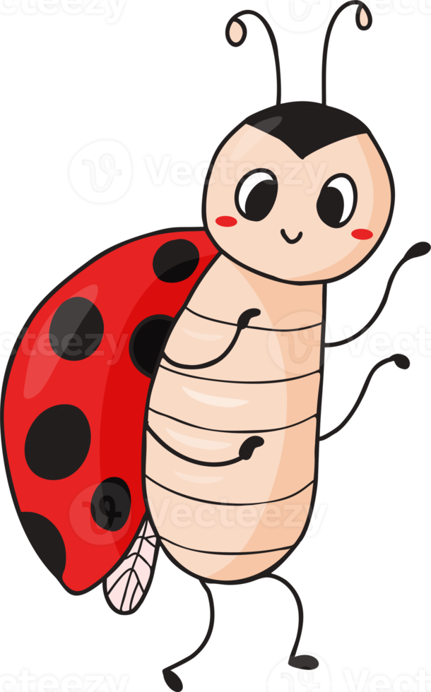 carino coccinella. divertente piccolo insetto png