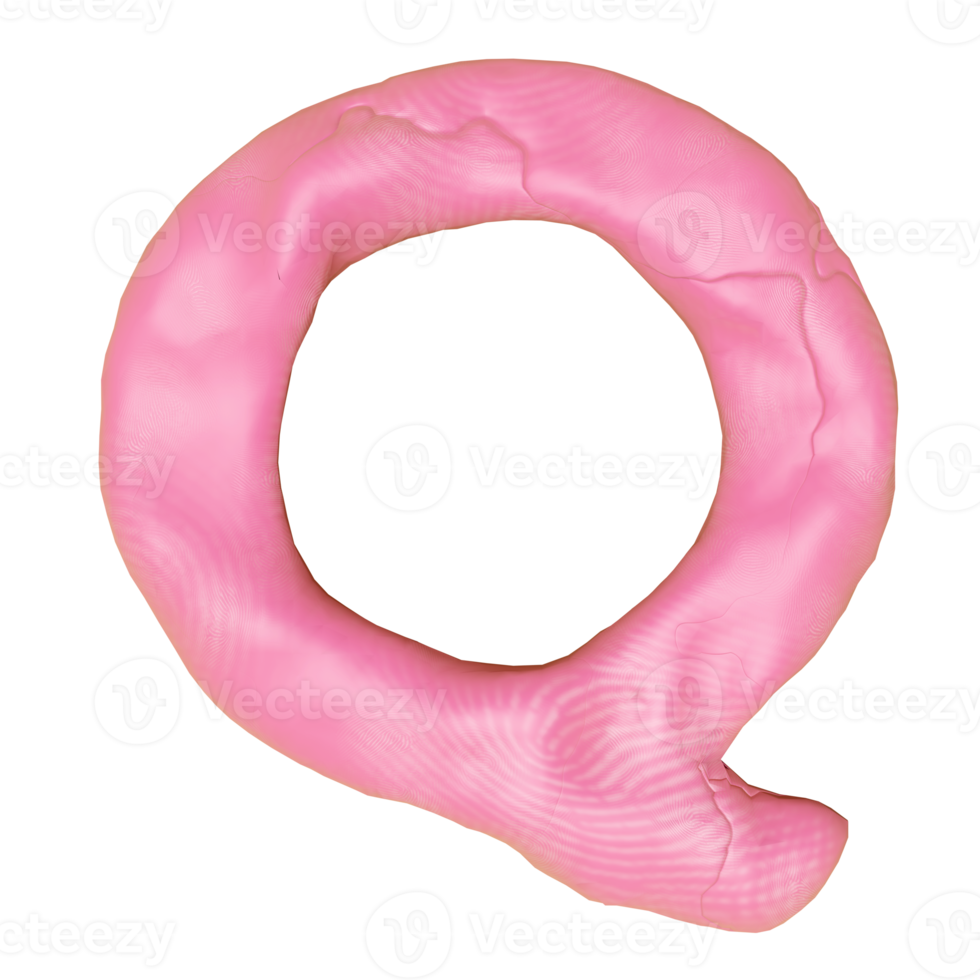 Q letter logo design from plasticine isolated. pink Q clay toy icon template elements concept, 3d illustration render png