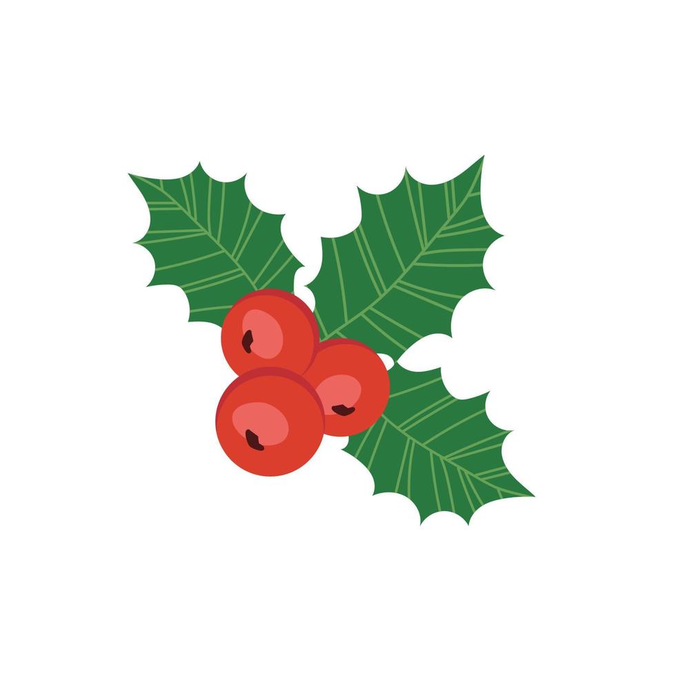 frutas de bayas rojas con hojas verdes ilustración vectorial para el elemento de diseño temático navideño. vector