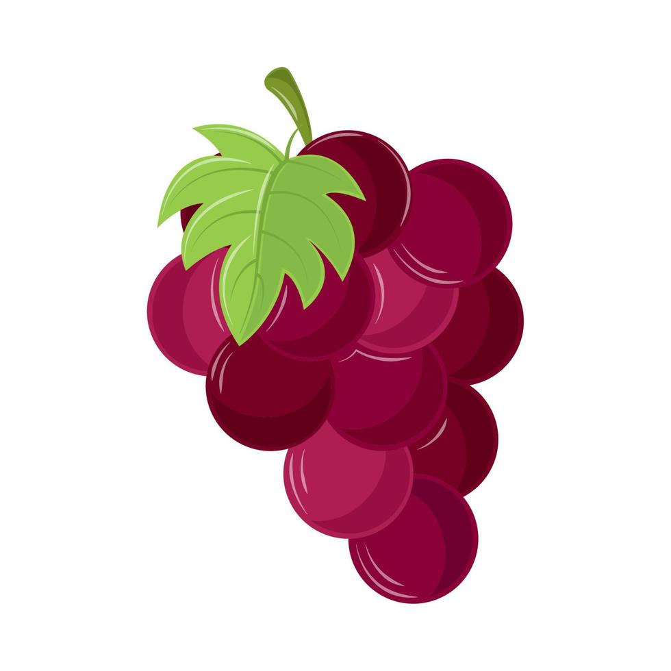grapes fruit icon vector
