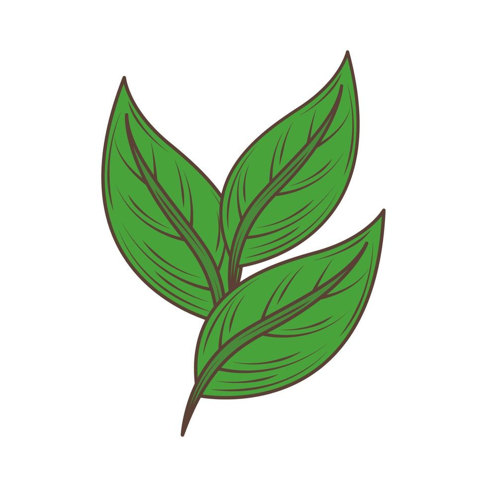 green leaves icon vector