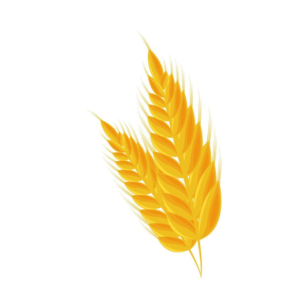 wheat spike icon vector