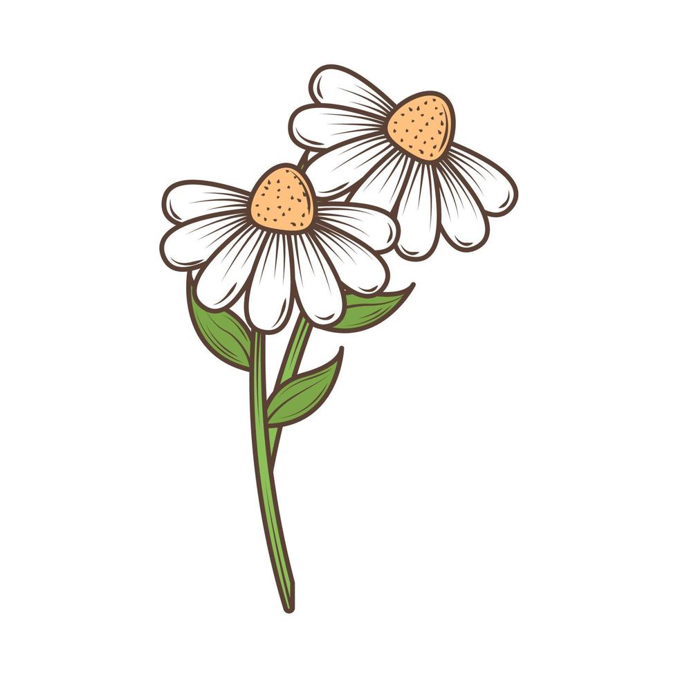 white flowers icon vector
