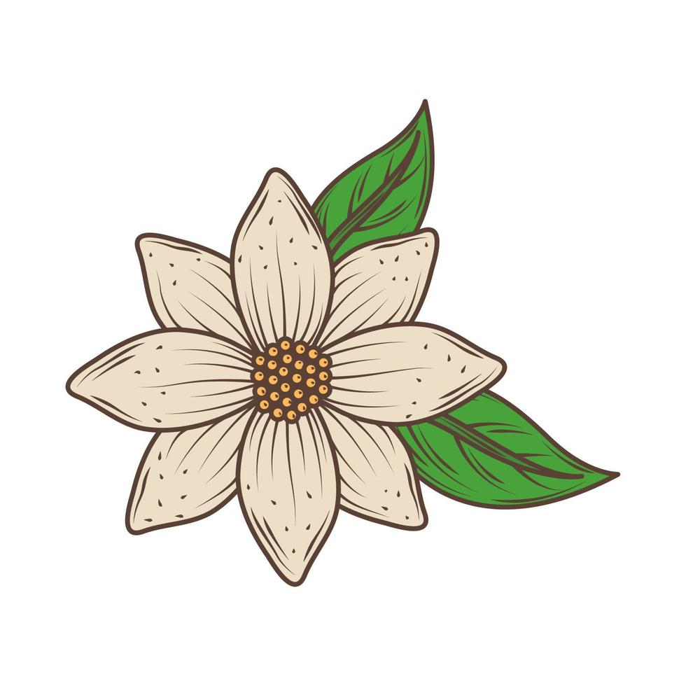 flower and leaves vector