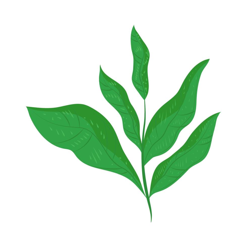 leaves nature icon vector