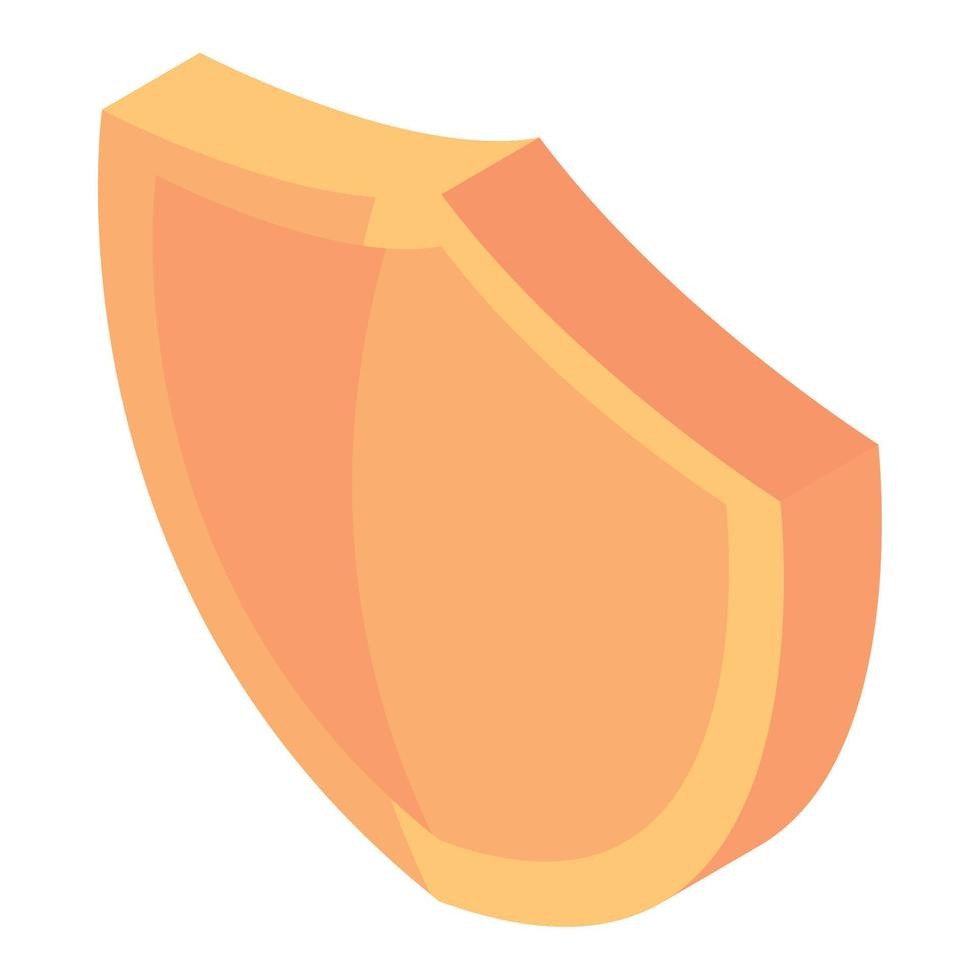 isometric shield protection vector