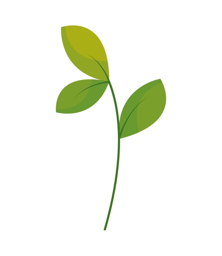 leaves foliage icon vector