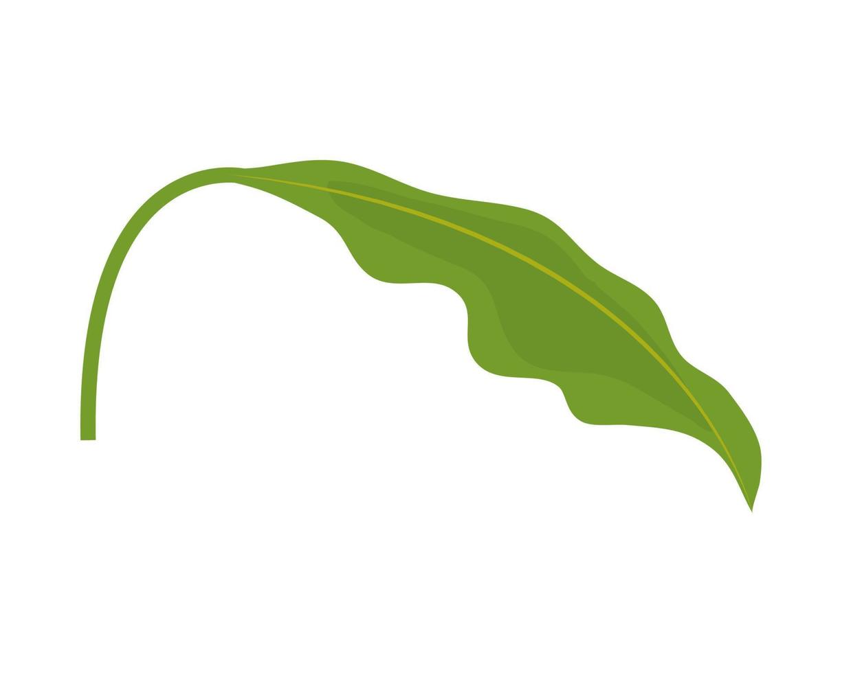 leaf foliage icon vector