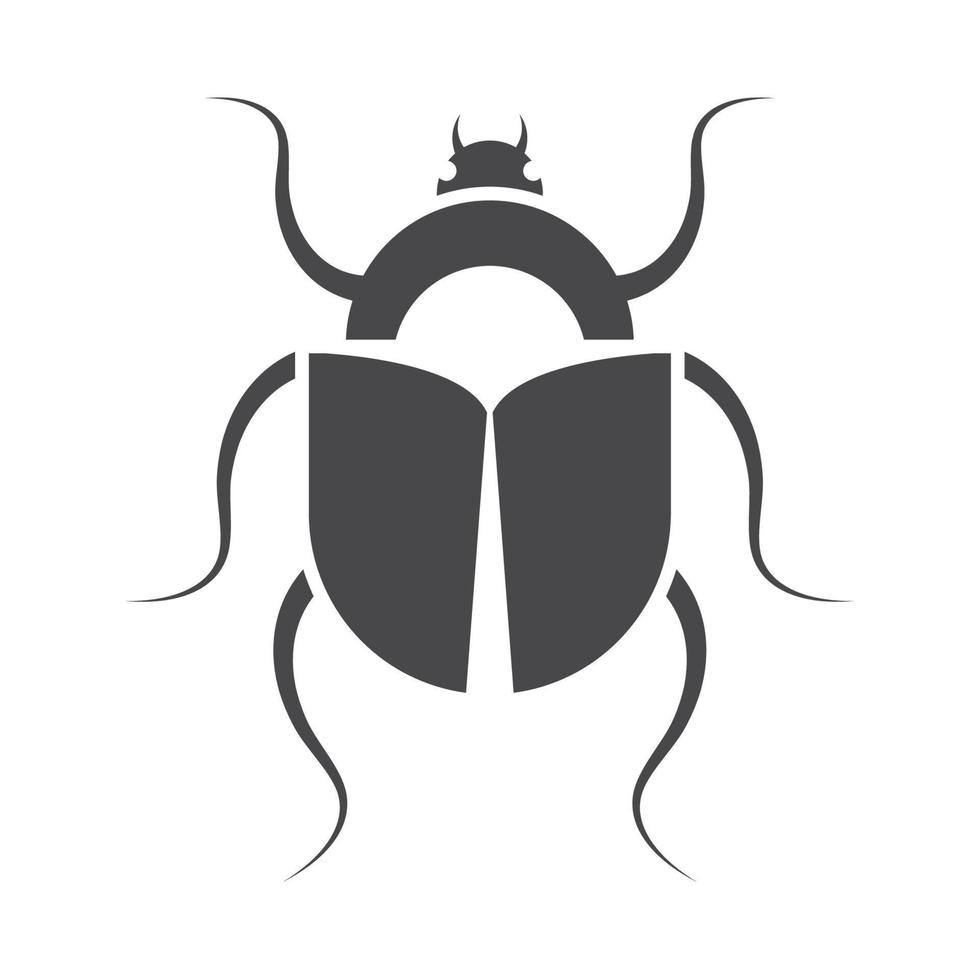 scarab bug insect vector