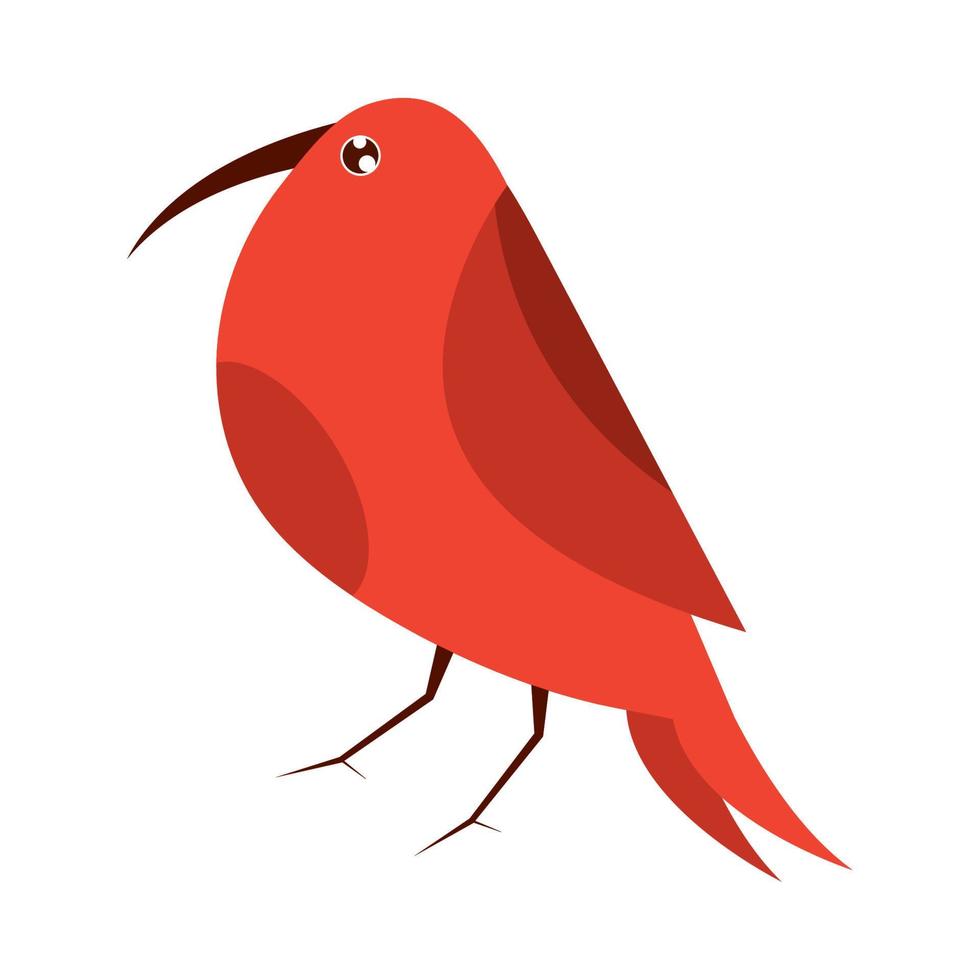 pájaro rojo animales vector