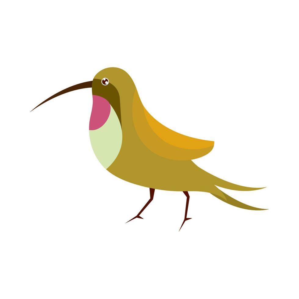 bird with long beak vector
