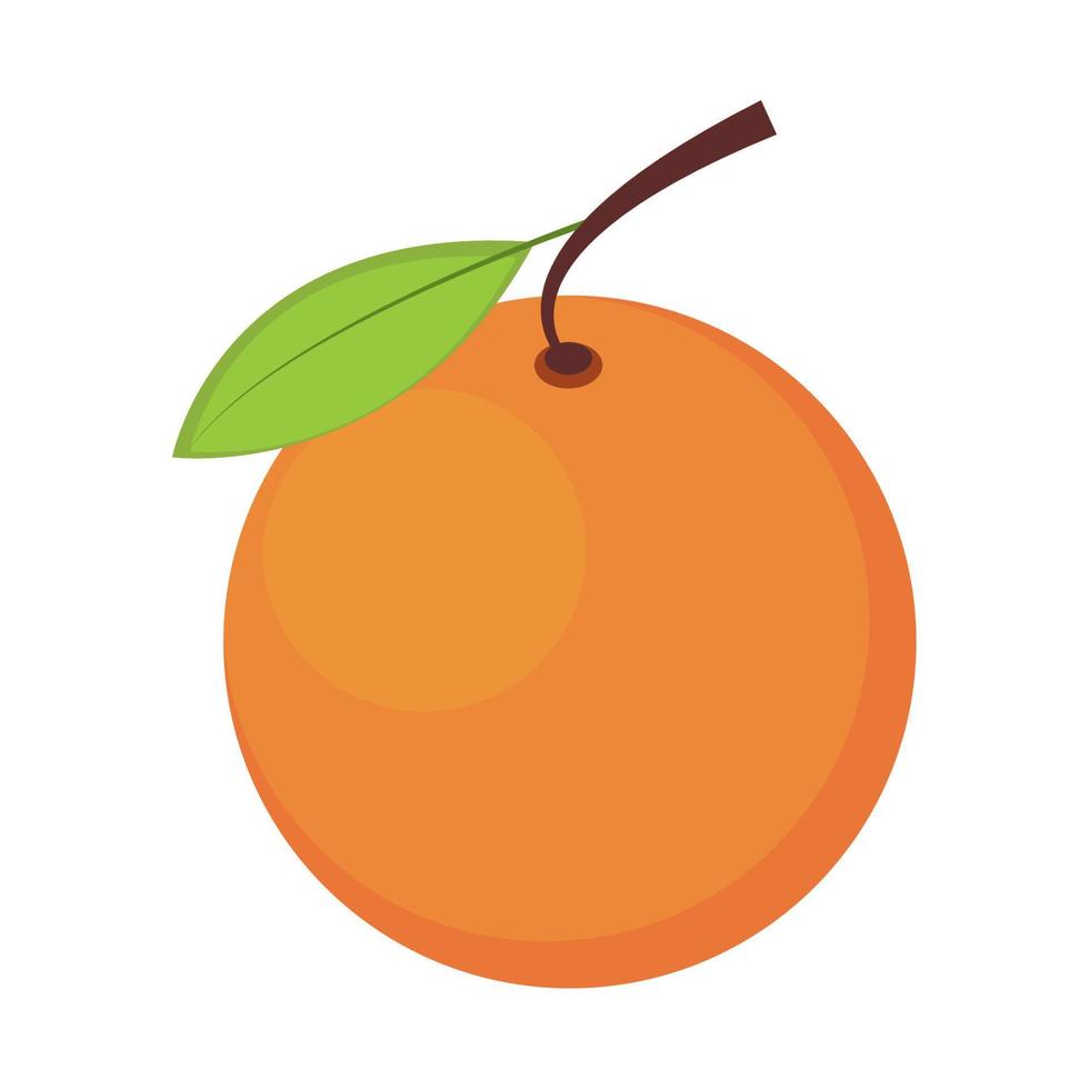 orange fruit icon vector