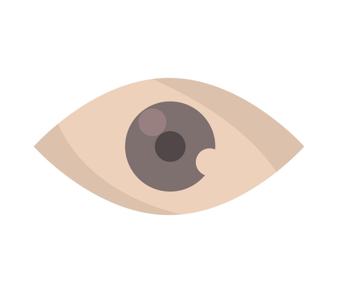 icono de visión del globo ocular vector