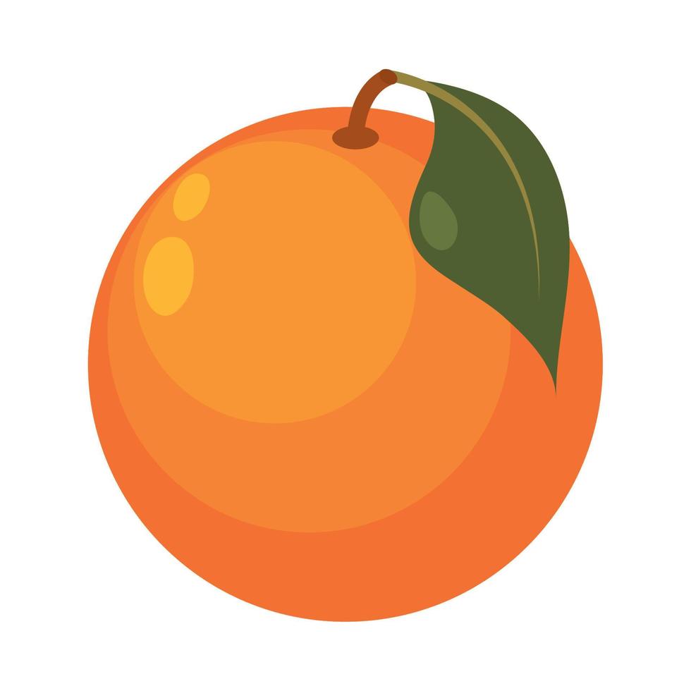 orange fruit food vector