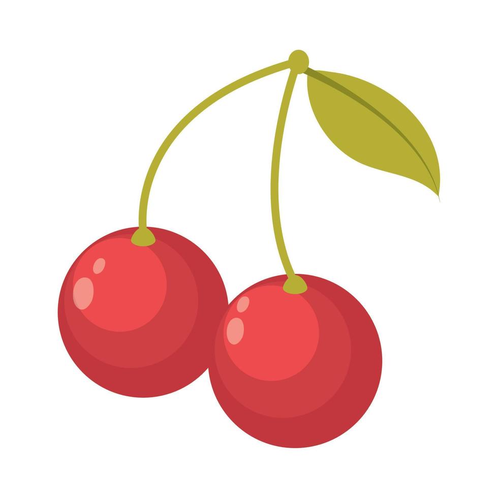 cherry fruit food vector