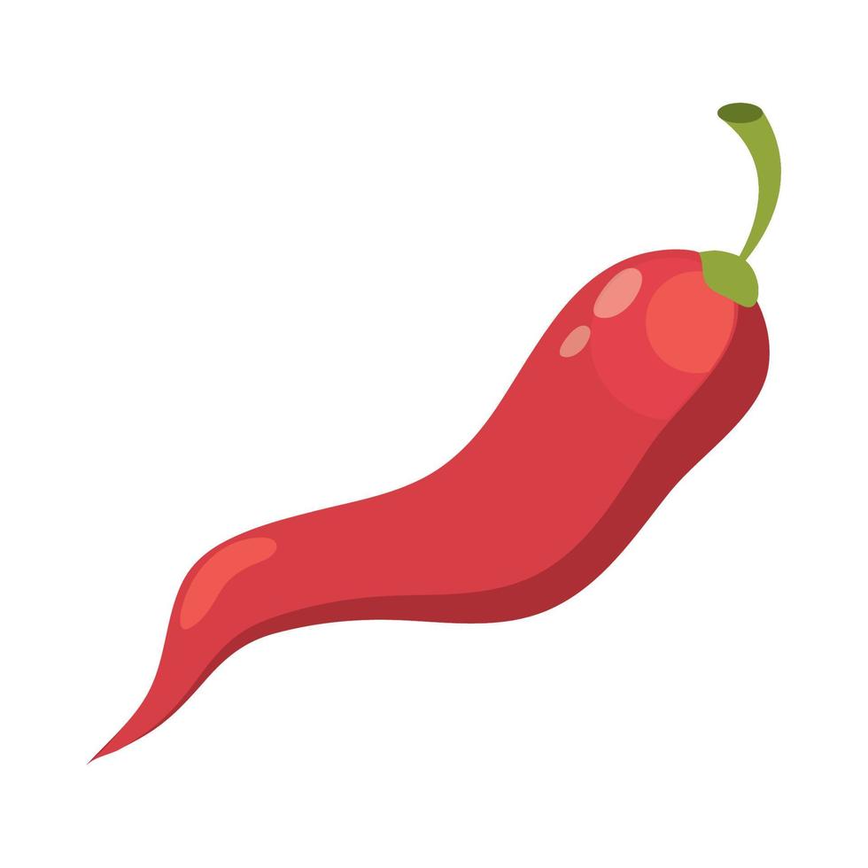 chili pepper vegetable vector