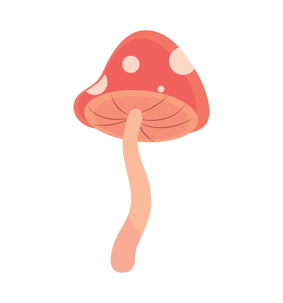 mushroom wild icon vector