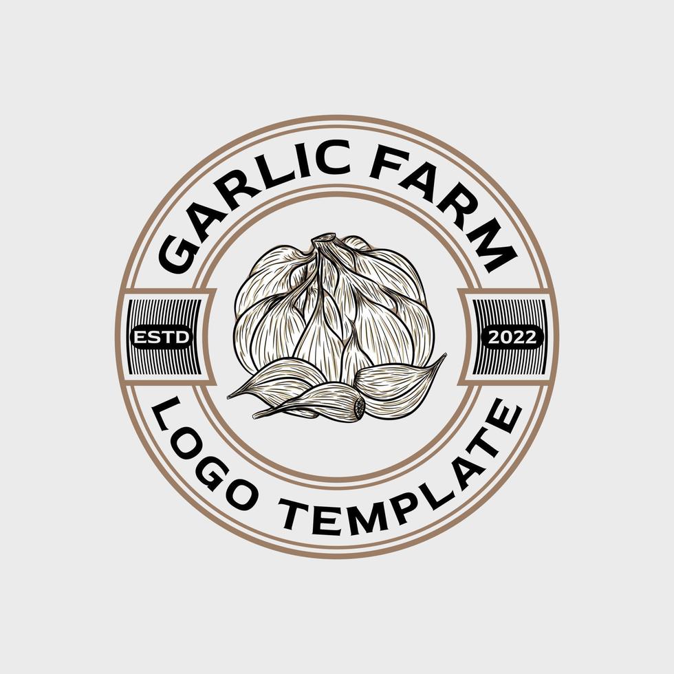 Garlic. Hand drawn engraving style illustrations. vector