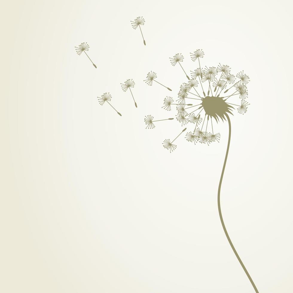 Flower a dandelion in the flora nature vector
