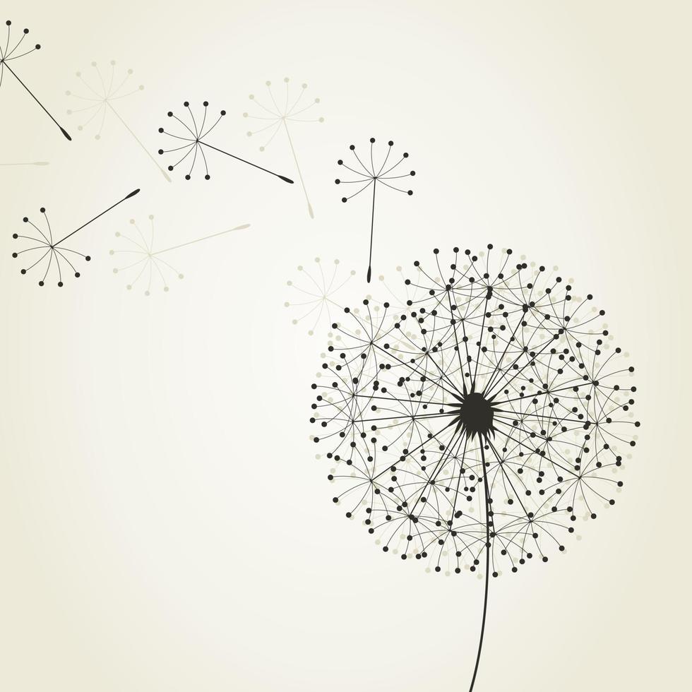 Flower a dandelion in the flora nature vector