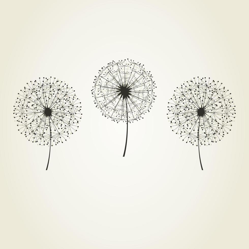 Three dandelions on a grey background. A vector illustration
