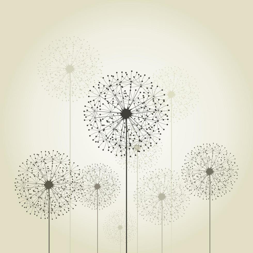 Flower a dandelion in the flora nature vector