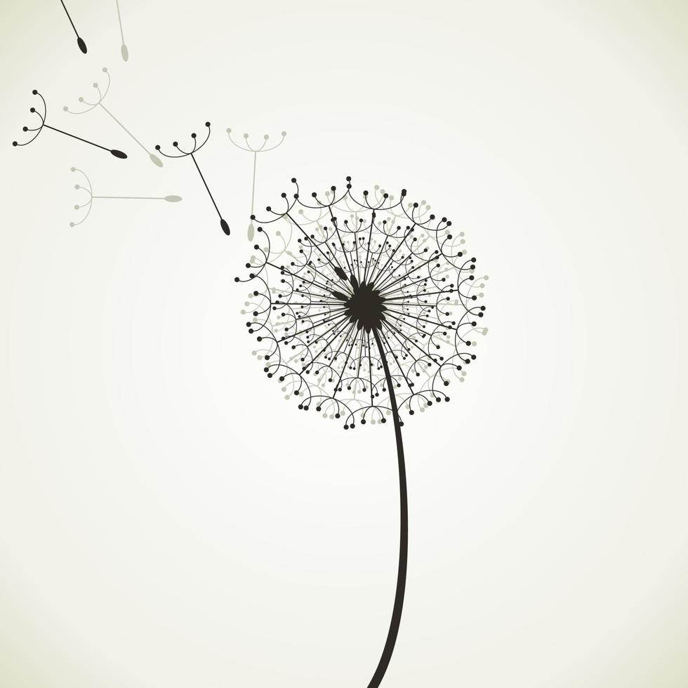 Flower a dandelion in the flora nature vector
