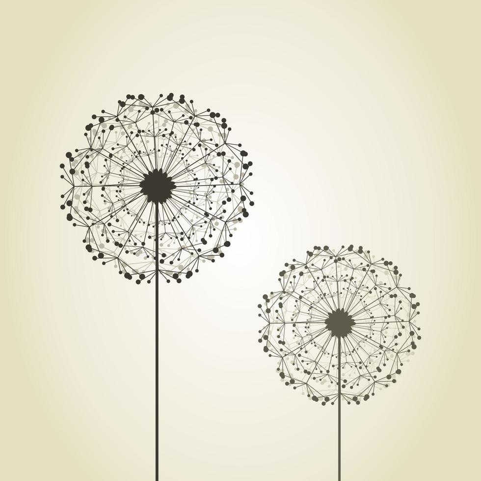 Flower a dandelion in the flora nature vector