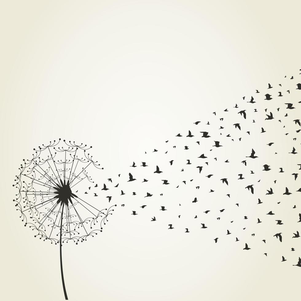 From a dandelion birds take off. A vector illustration