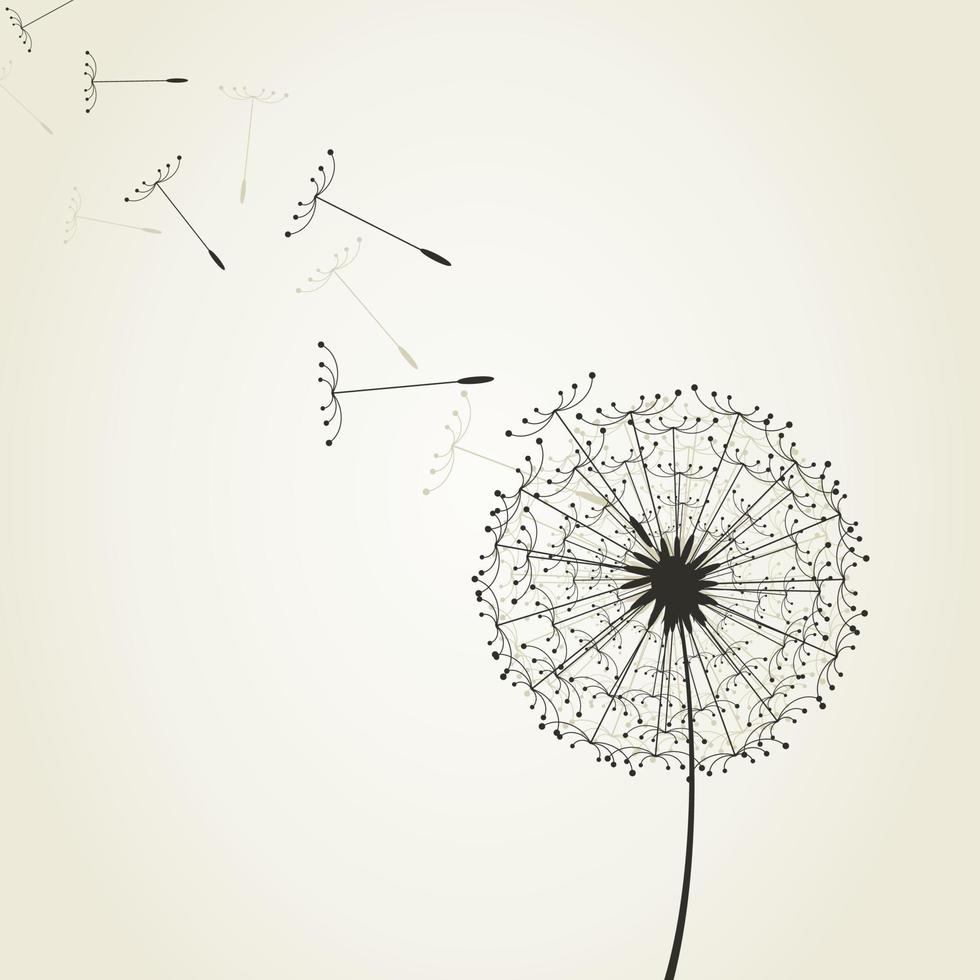 From a dandelion flower seeds fly away. A vector illustration