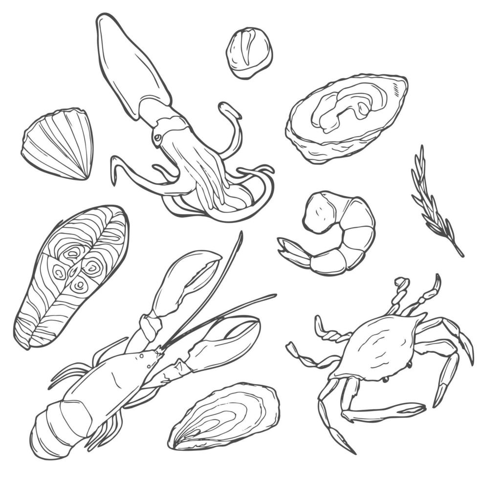 Set of doodles, hand drawn rough simple seafood theme sketches. Vector set isolated on white background.