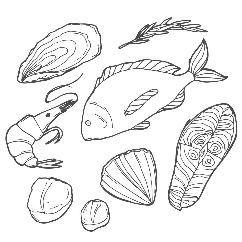 Hand drawn Seafood set. Decorative icons Squid, Octopus, salmon, oysters, scallops, lobster, red perch ,crab, shellfish and mussels. Vector illustration in old ink style