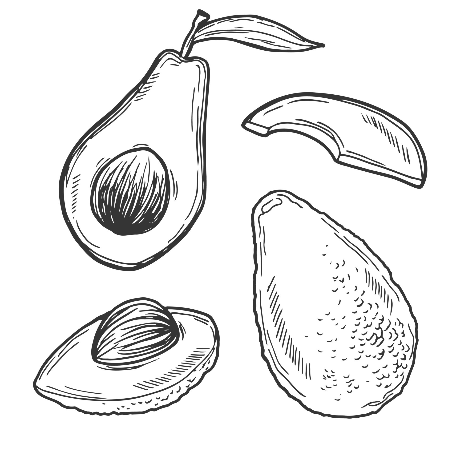 Hand Drawn Line Drawing Of Seasonal Fruit Avocado Fruit Drawing Avocado  Drawing Fruit Sketch PNG Transparent Clipart Image and PSD File for Free  Download