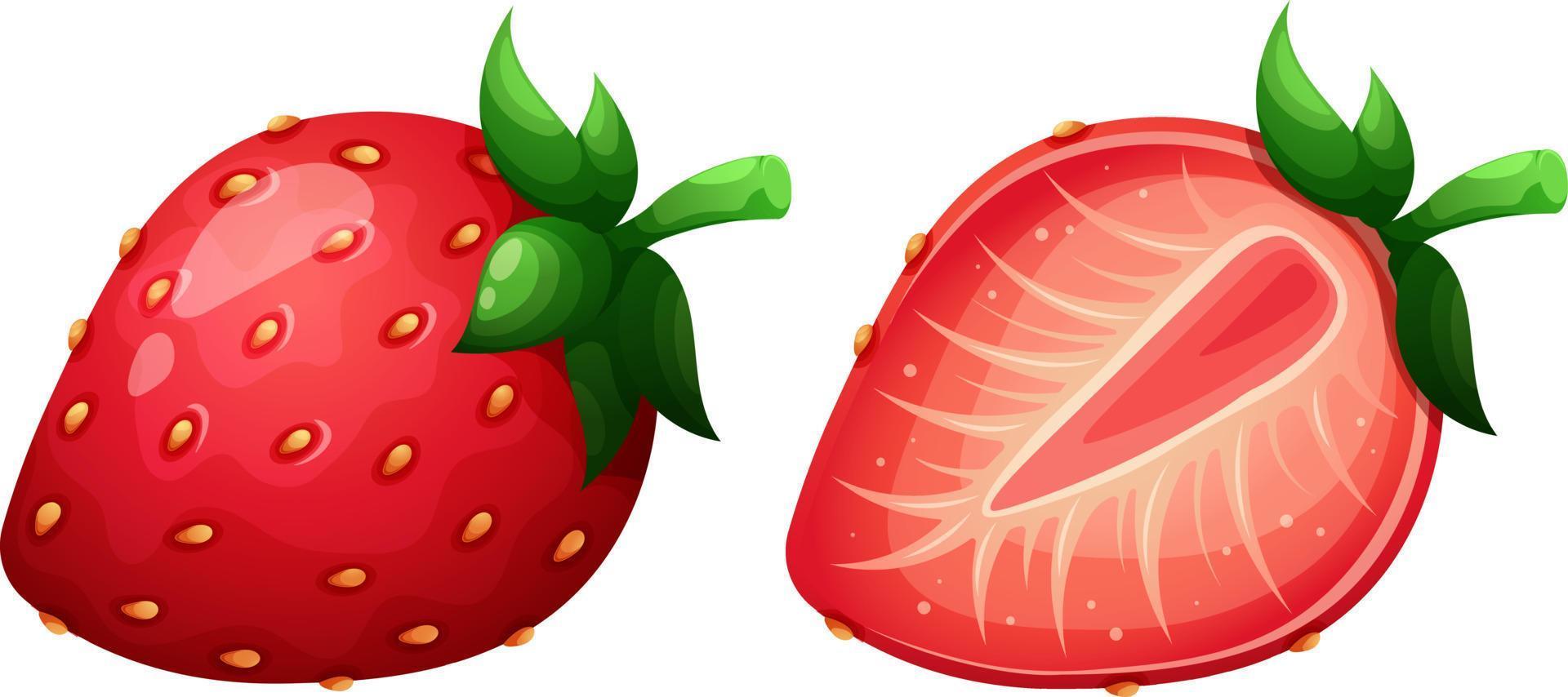 Cartoon strawberry, red berry, juicy strawberry isolated. Whole berry and cut, half berry vector