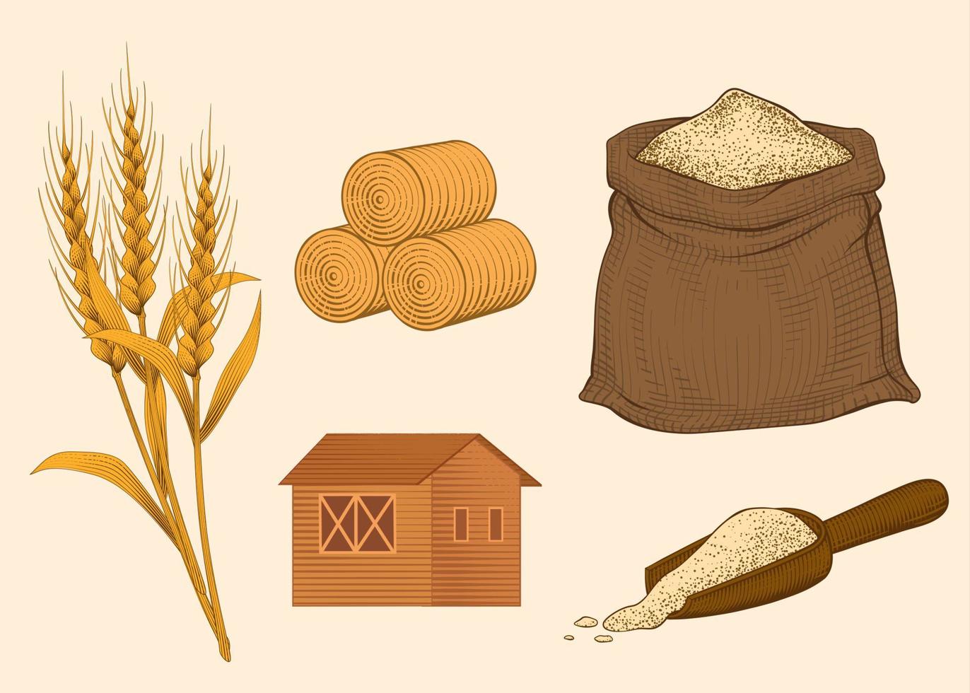 Engraved agricultural elements of wheat straw, haystack, a sack of powder, barn, and wooden scoop vector